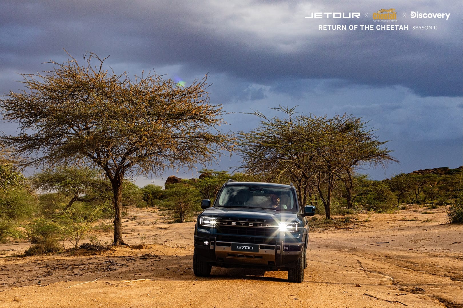 Return of the Cheetah conservation programme