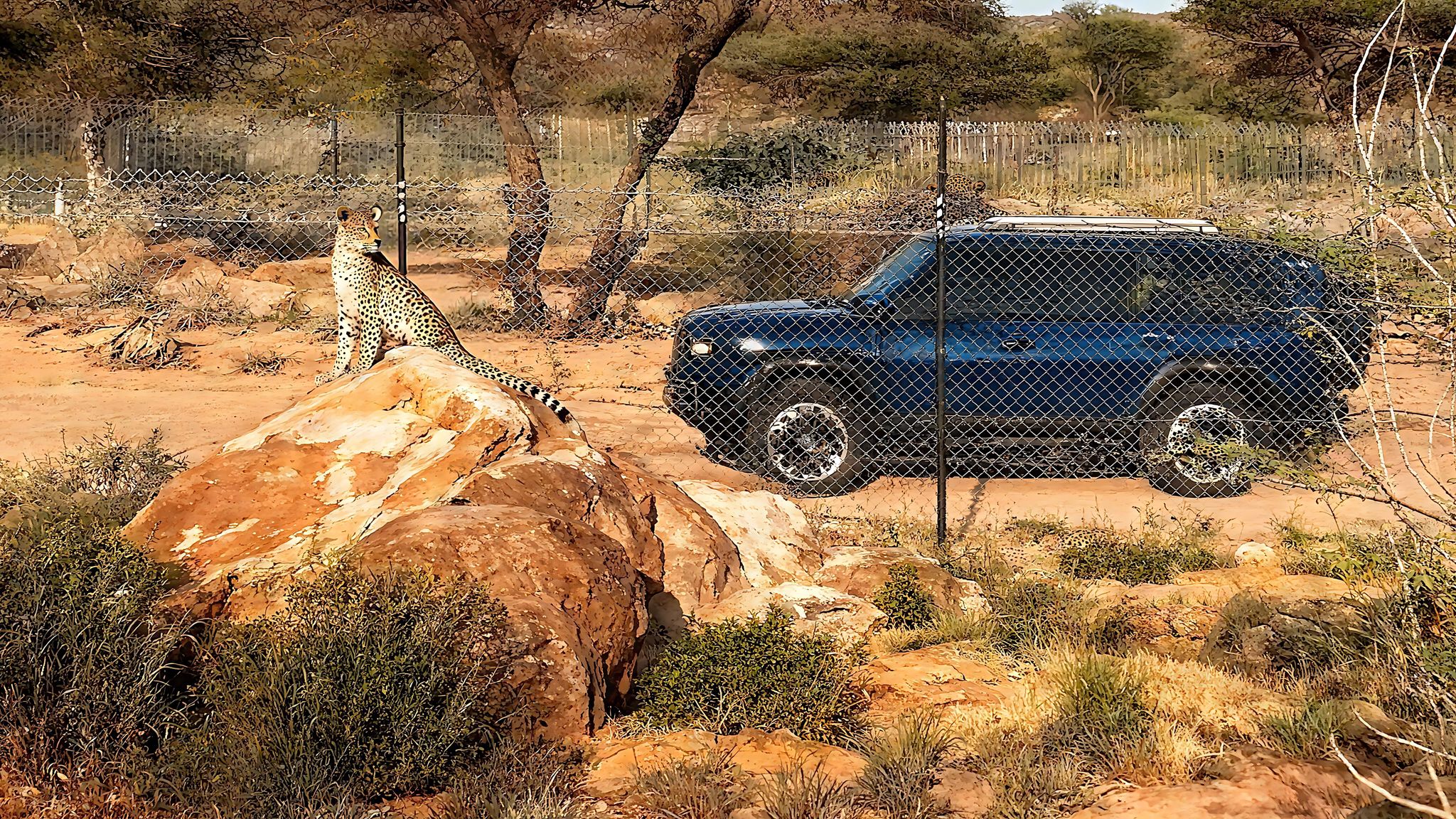 JETOUR G700 supporting the conservation journey